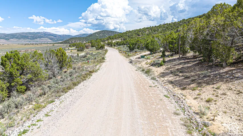 Gravel road access through a landscape of native shrubs, trees, and expansive mountain terrain