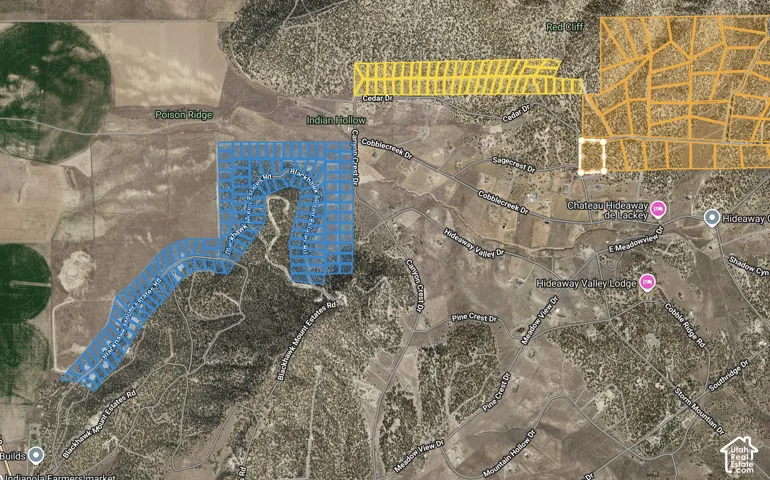 Plat Map. Illustrating the designated parcel boundaries and street layout for the property
