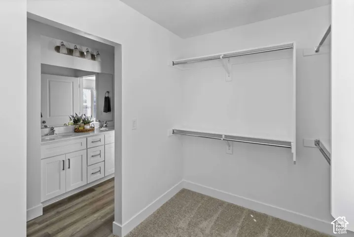 Walk-in closet featuring white wall-mounted shelving and hanging rods over carpet flooring, opening into a bathroom with a white dual-sink vanity, stone-finish countertop, and four-bulb vanity lighting