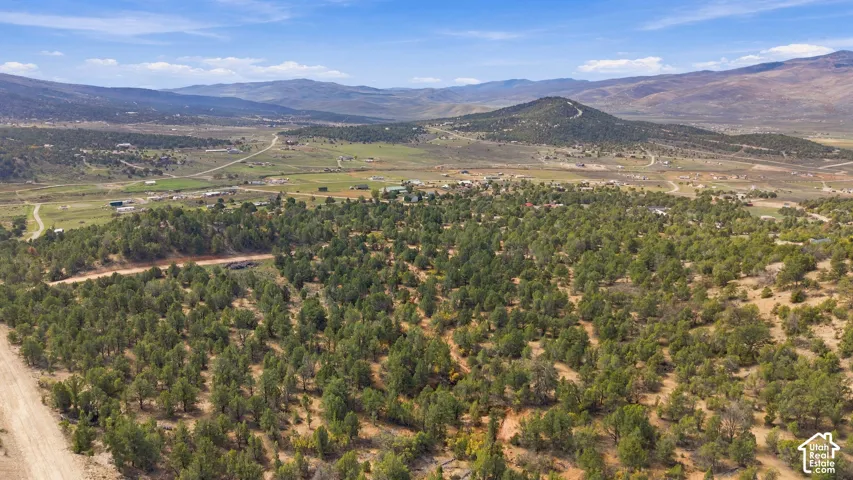 Expansive lot featuring mature evergreen trees, native vegetation, and surrounding mountainous terrain