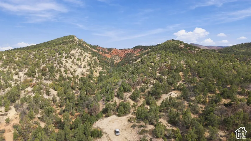 Expansive acreage featuring mountainous terrain, mature native trees, natural rock formations, and an unpaved access path