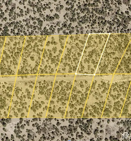 Aerial Plat Map. Representing the surveyed boundary lines of the property. Buyer to verify property lines.
