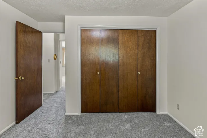 Neutral wall finish featuring four-panel bi-fold closet doors and a matching wood-finish entry door with brass hardware