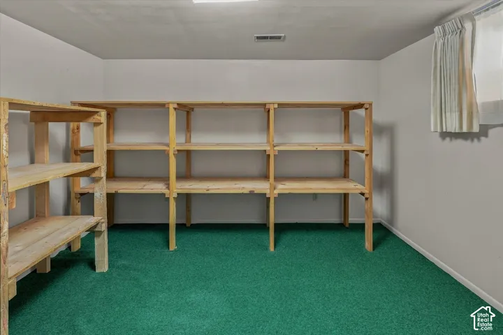 Storage room featuring installed wood shelving units, green wall-to-wall carpeting, and a window with neutral fabric window treatments