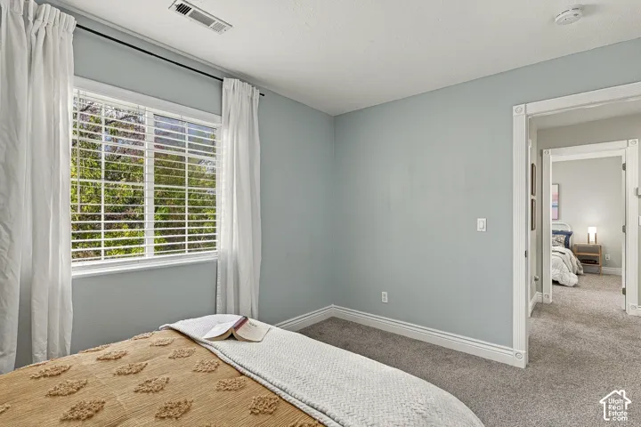 Neutral-toned wall paint, crisp white door and window casing, high-pile carpeting, and a multi-pane window with white horizontal blinds