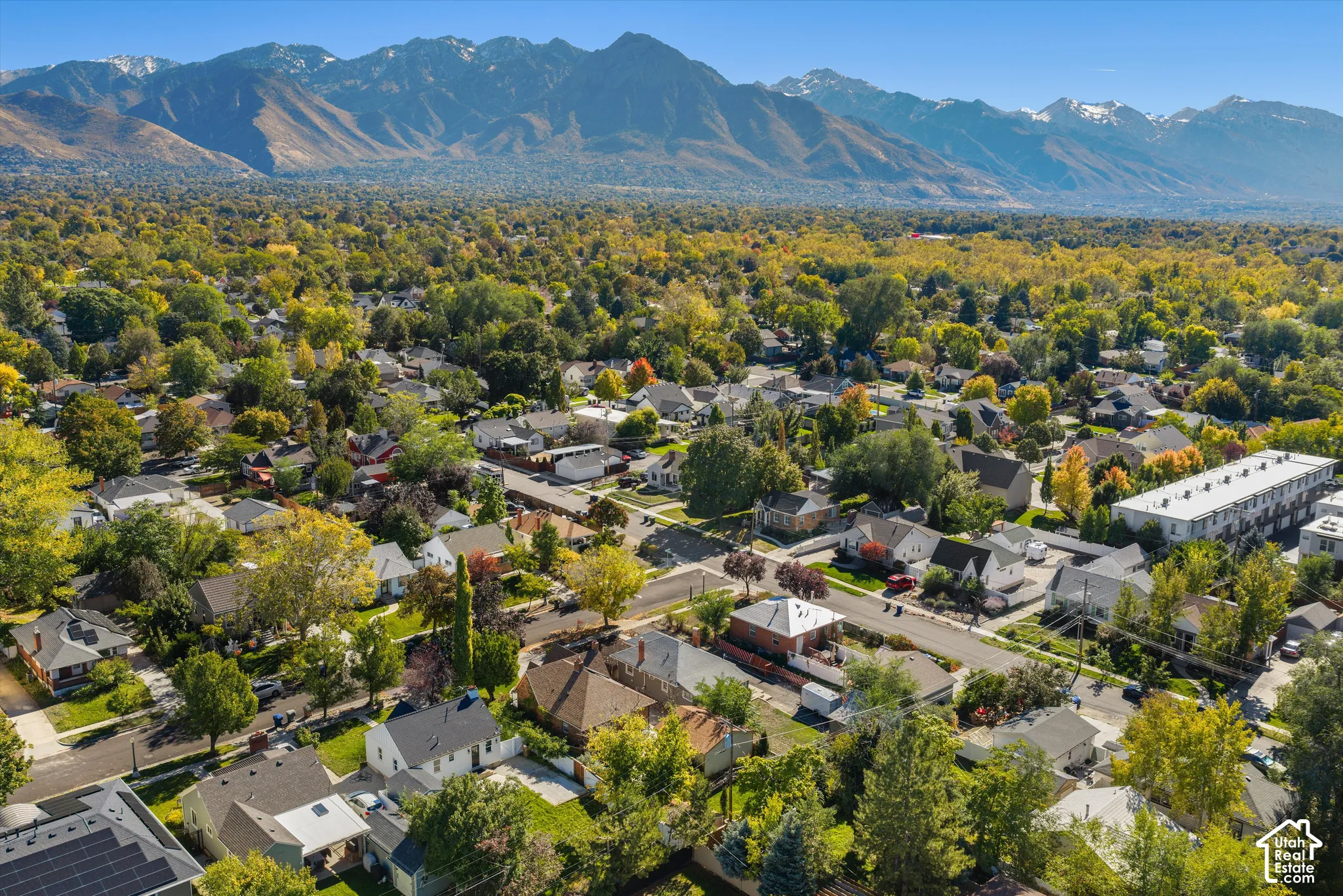 Aerial perspective featuring a mountainous backdrop and established residential neighborhood with mature canopy trees