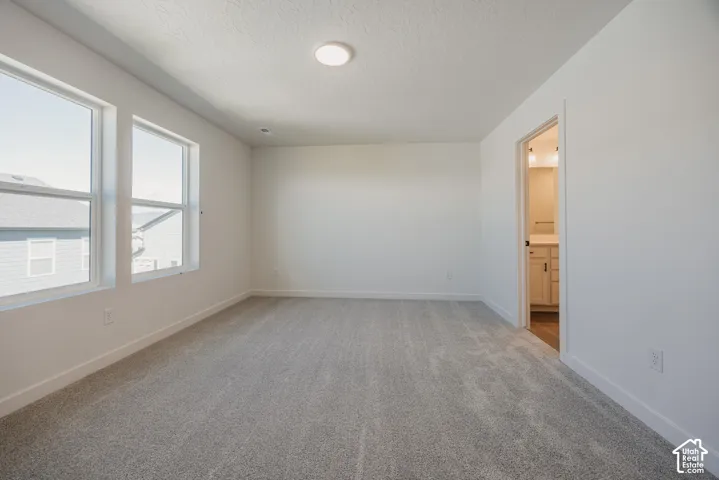Room featuring neutral carpeting, crisp white walls, dual windows, and a flush-mount ceiling light fixture