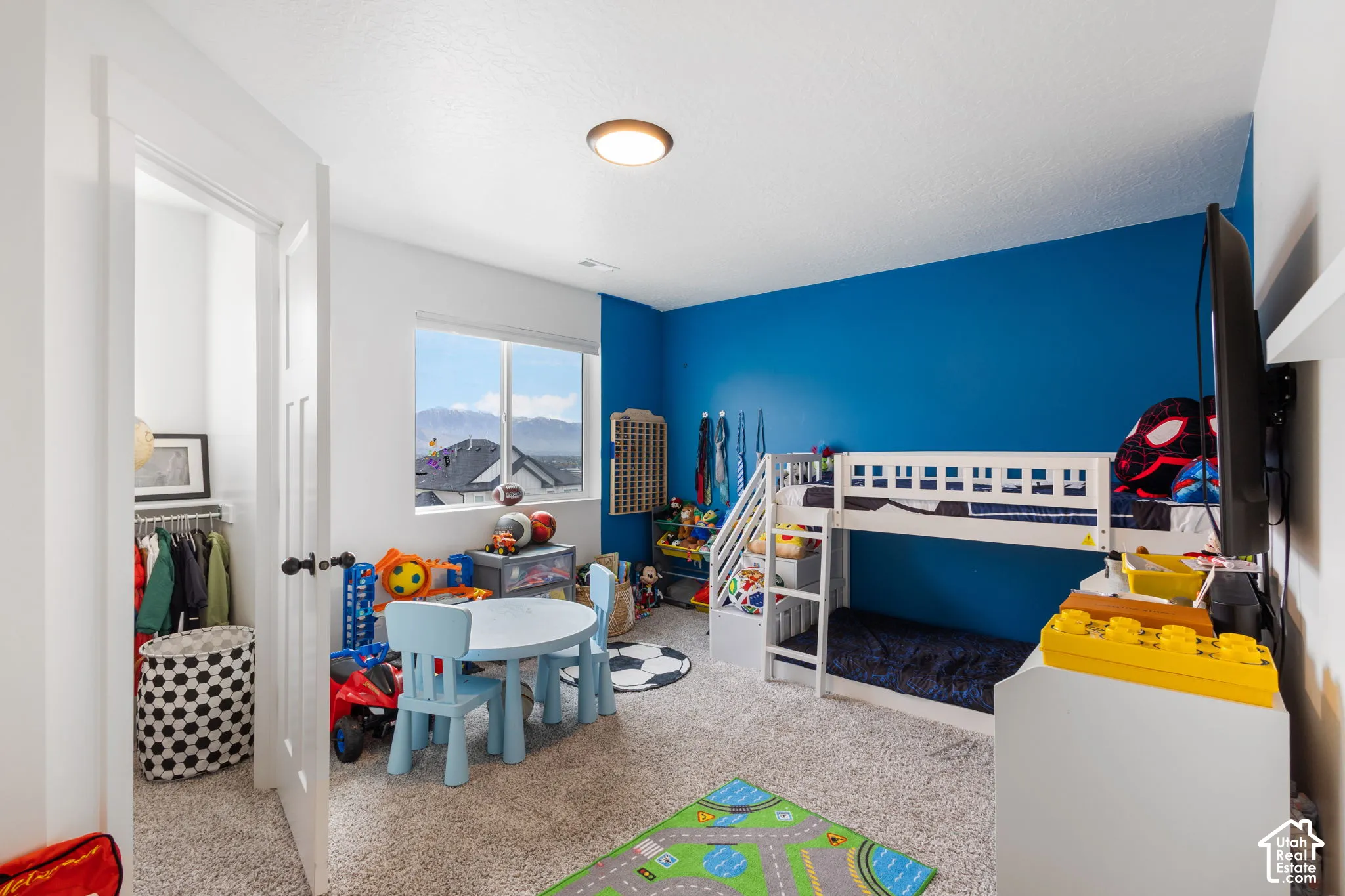 Neutral-toned carpeting, flush-mount ceiling lighting, window with mountain backdrop, and built-in closet storage