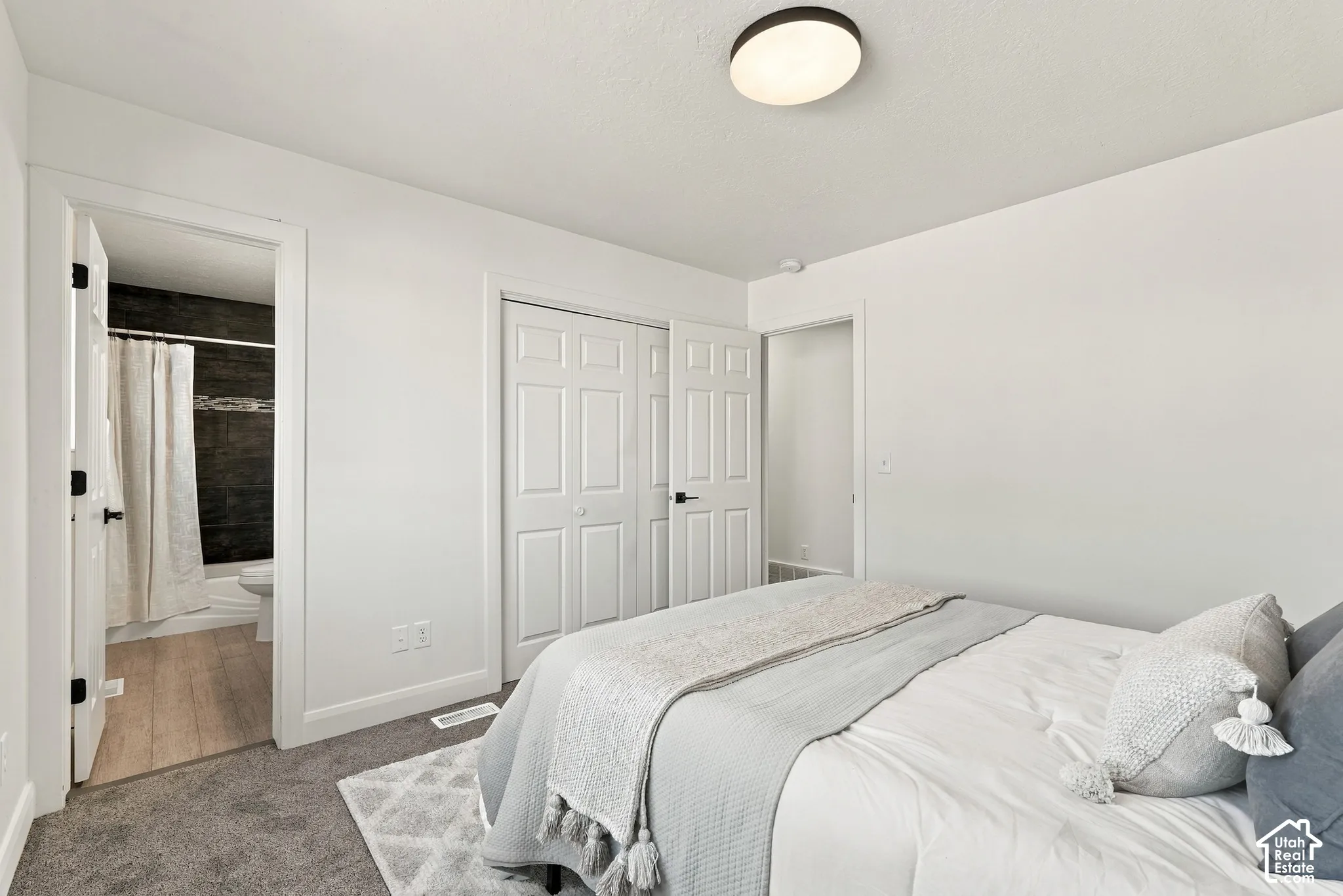 Neutral-toned carpeting, white six-panel closet doors with matte black hardware, and a flush-mount circular ceiling light fixture