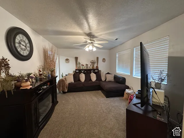 135 S 900 E, Springville, Utah 84663