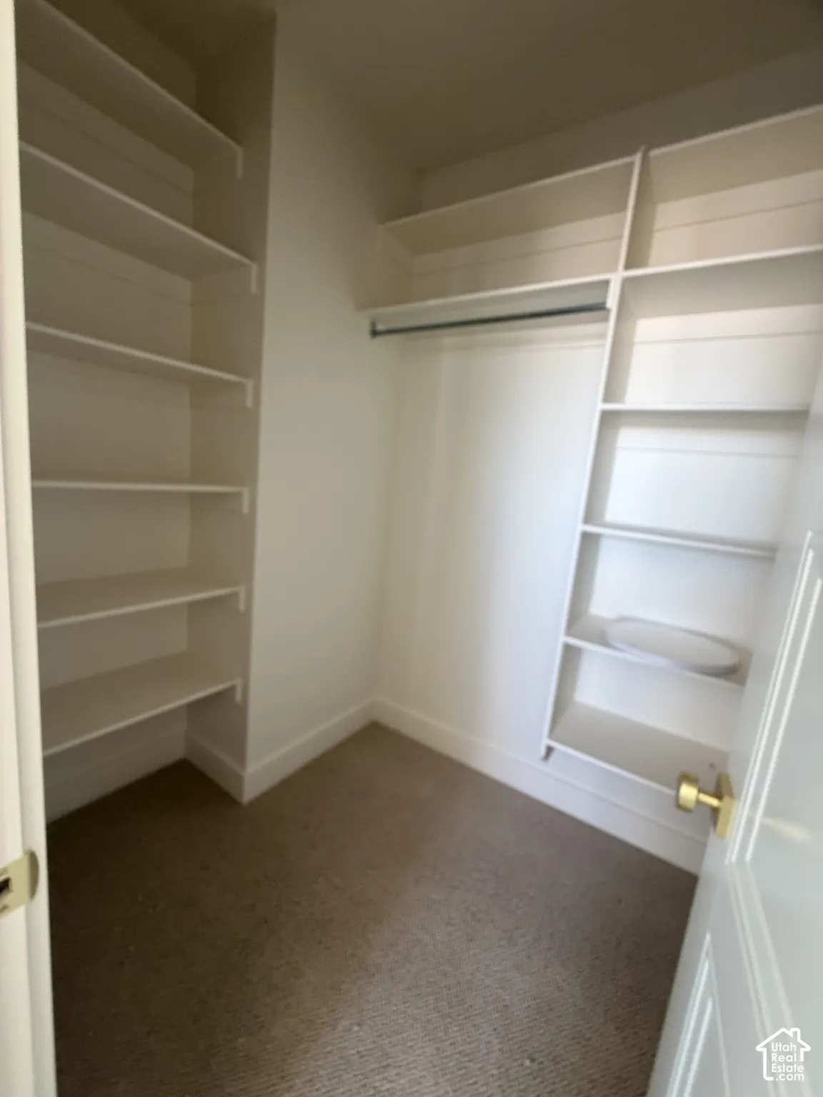 Walk-in closet featuring floor-to-ceiling white built-in shelving, a full-length clothing rod, carpeted flooring, and brass-tone hardware