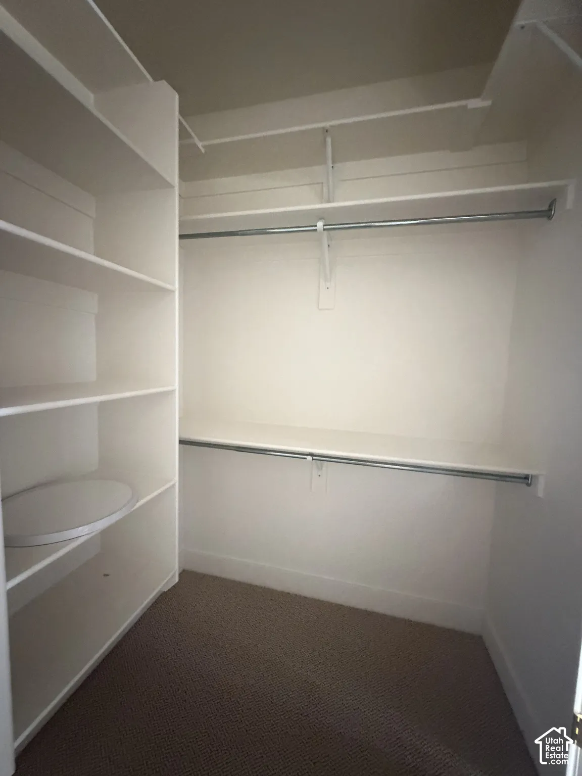 Walk-in closet featuring built-in shelving, dual-level metal hanging rods, and carpeted flooring