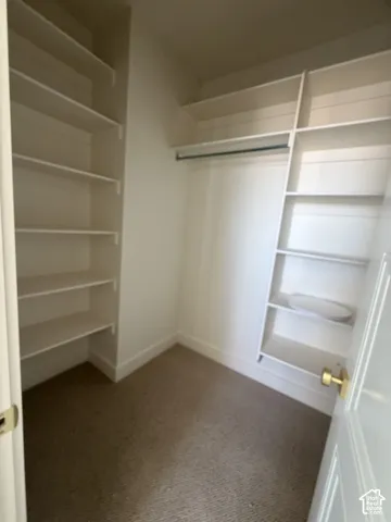 Walk-in closet featuring floor-to-ceiling white built-in shelving, a full-length clothing rod, carpeted flooring, and brass-tone hardware