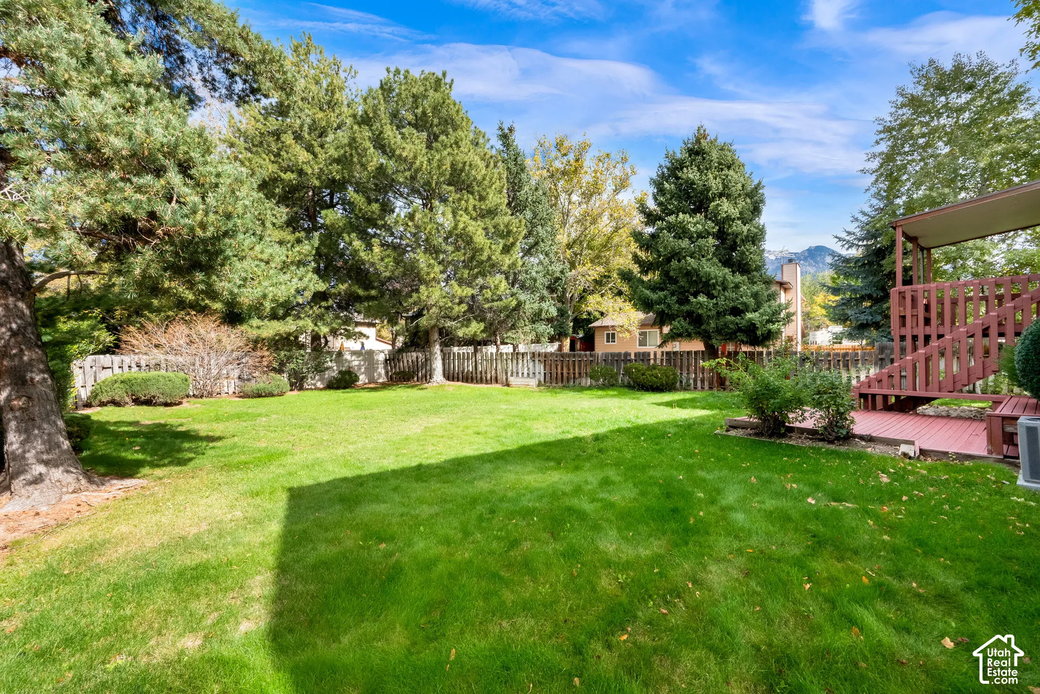 Expansive backyard featuring a grass lawn, mature pine trees, wood privacy fencing, and a raised wood deck