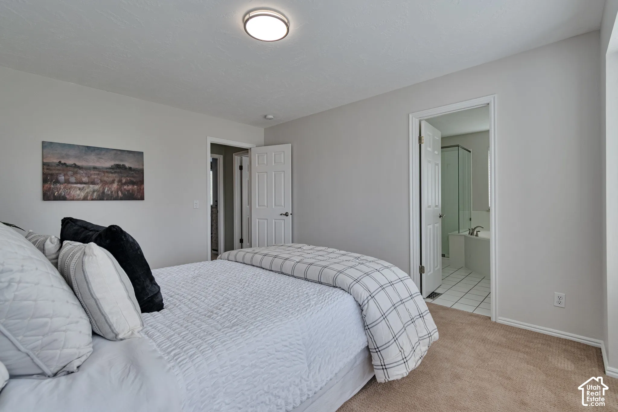 Neutral-toned interior featuring wall-to-wall carpeting, a flush-mount ceiling light fixture, and six-panel interior doors