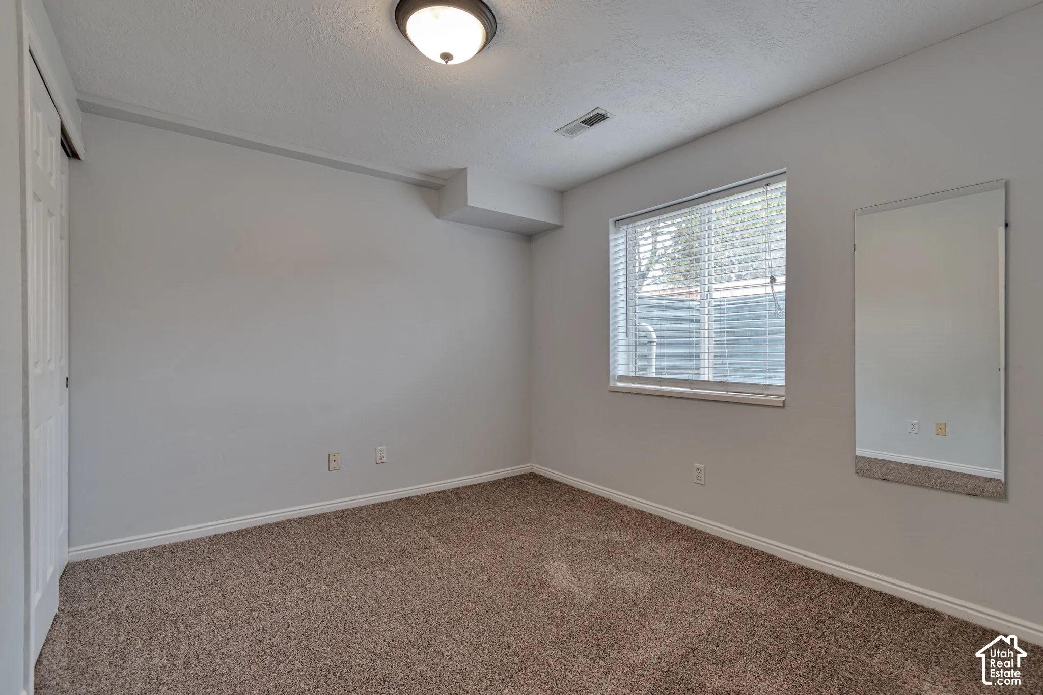 Neutral-toned interior featuring wall-to-wall carpeting, a large window with horizontal blinds, a ceiling-mounted light fixture, and a built-in wall mirror