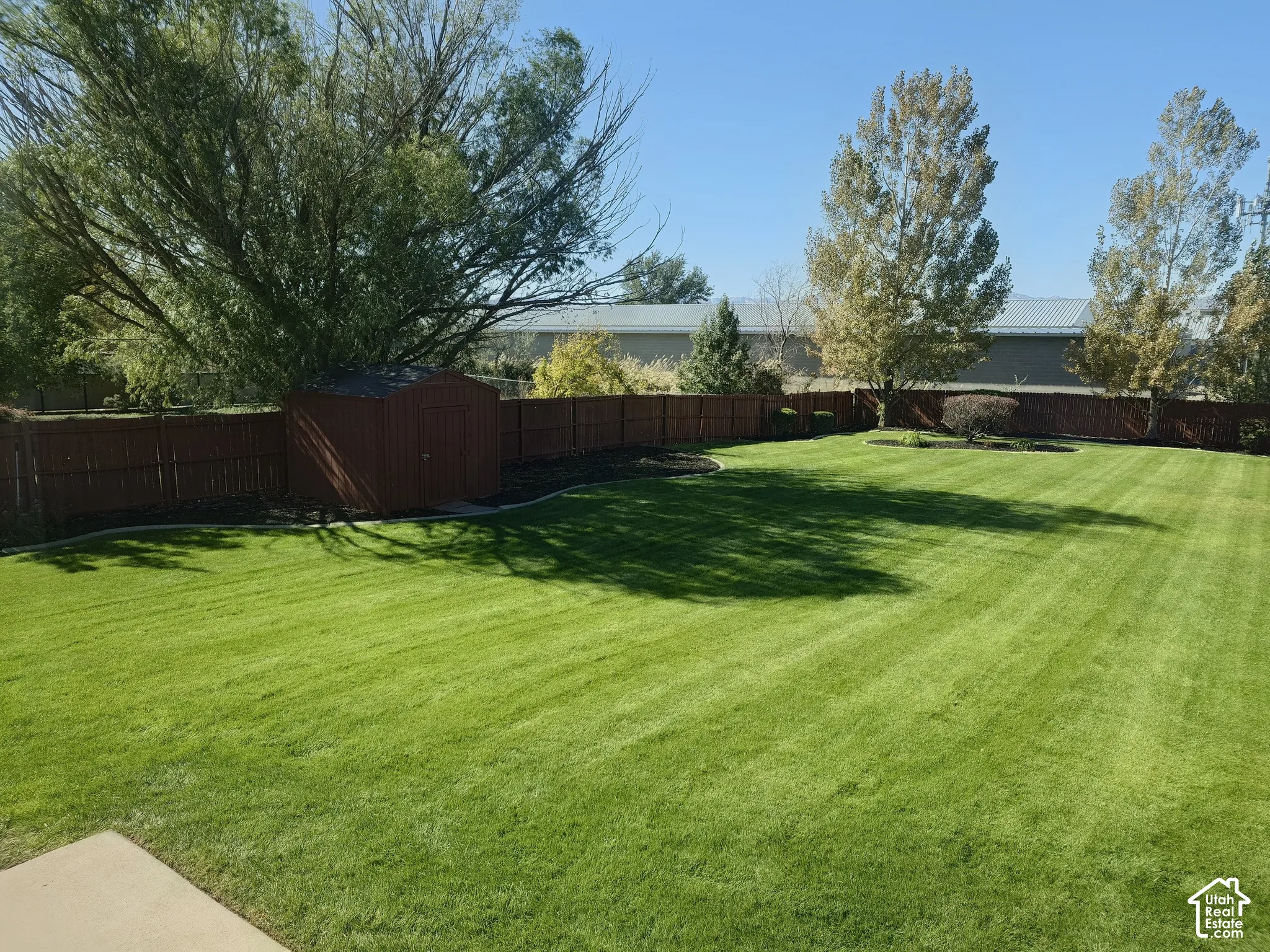 Expansive backyard featuring a large grass lawn, perimeter privacy fencing, mature trees, and a detached storage shed