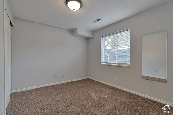 Neutral-toned interior featuring wall-to-wall carpeting, a large window with horizontal blinds, a ceiling-mounted light fixture, and a built-in wall mirror