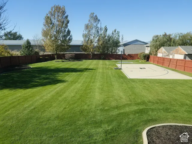 Expansive backyard featuring a large grass lawn, a paved sports court, mature trees, and perimeter wood fencing