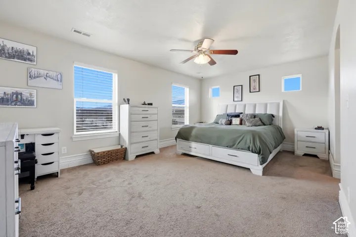 Spacious room featuring neutral carpeting, a central ceiling fan with integrated lighting, dual-pane windows, and high-placed transom windows
