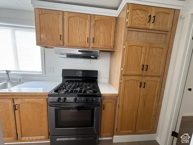 Kitchen featuring wood cabinetry, tall built-in pantry storage, a black gas range, and a stainless steel range hood