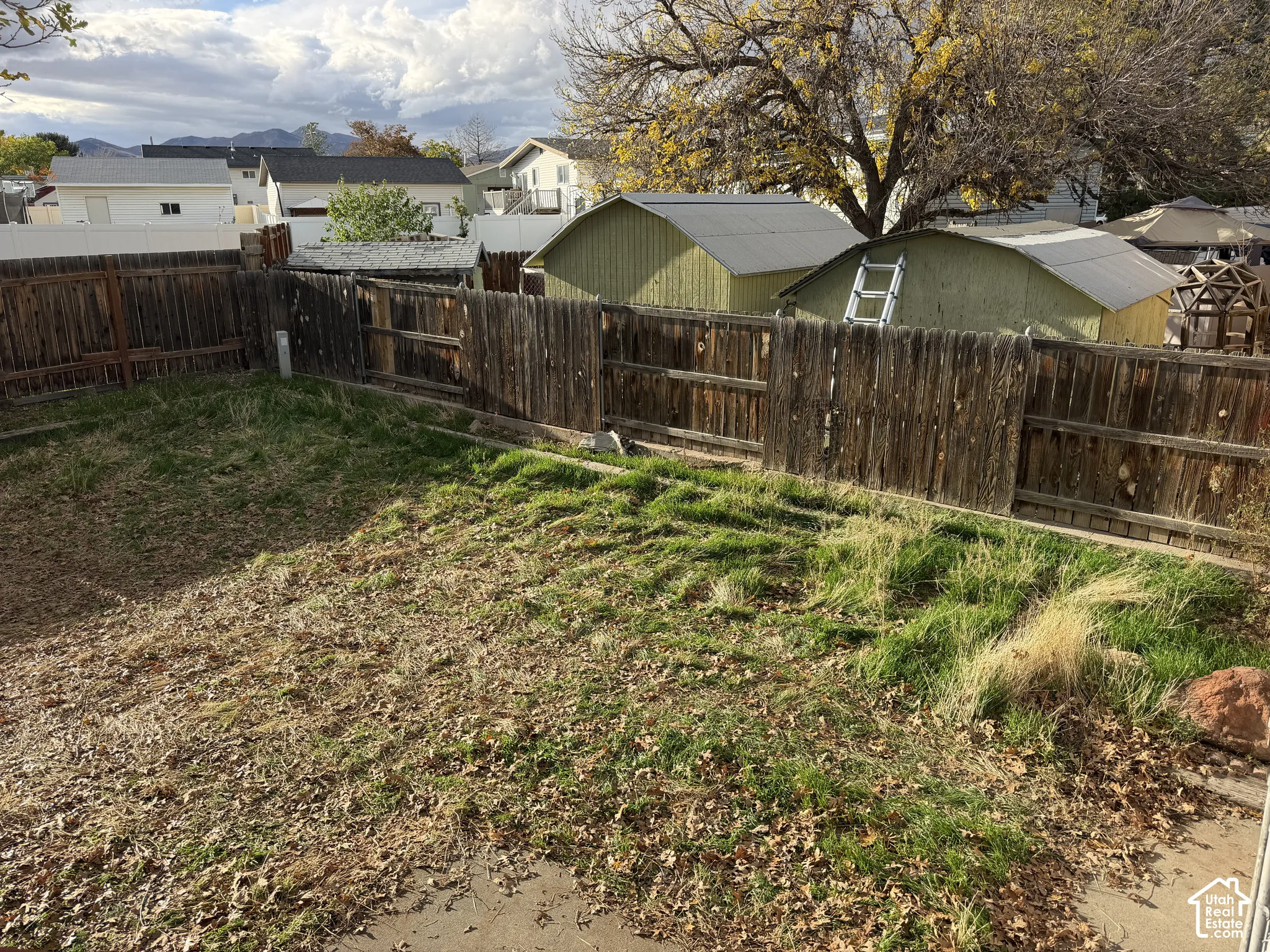Backyard area featuring a wood-plank perimeter fence and two detached storage structures