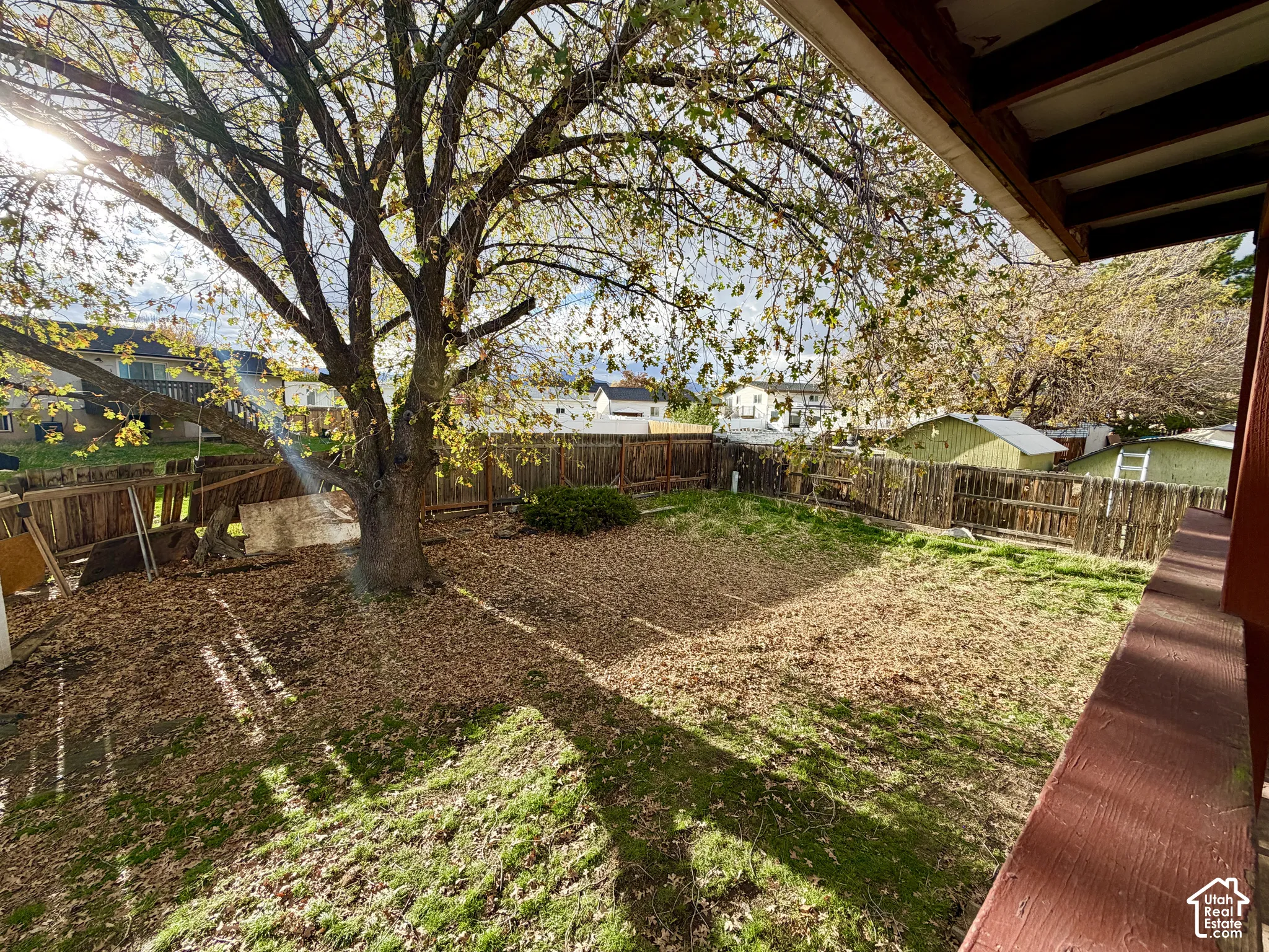 Private backyard featuring a wood-plank perimeter fence and a mature shade tree