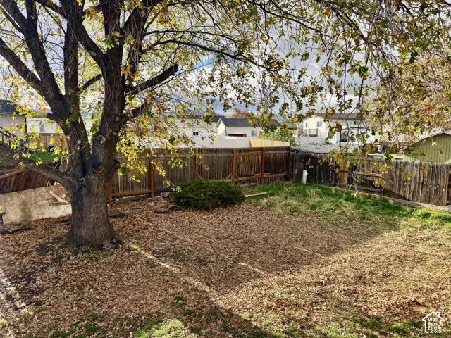 Backyard featuring a mature tree, natural landscaping, and wood-panel perimeter fencing