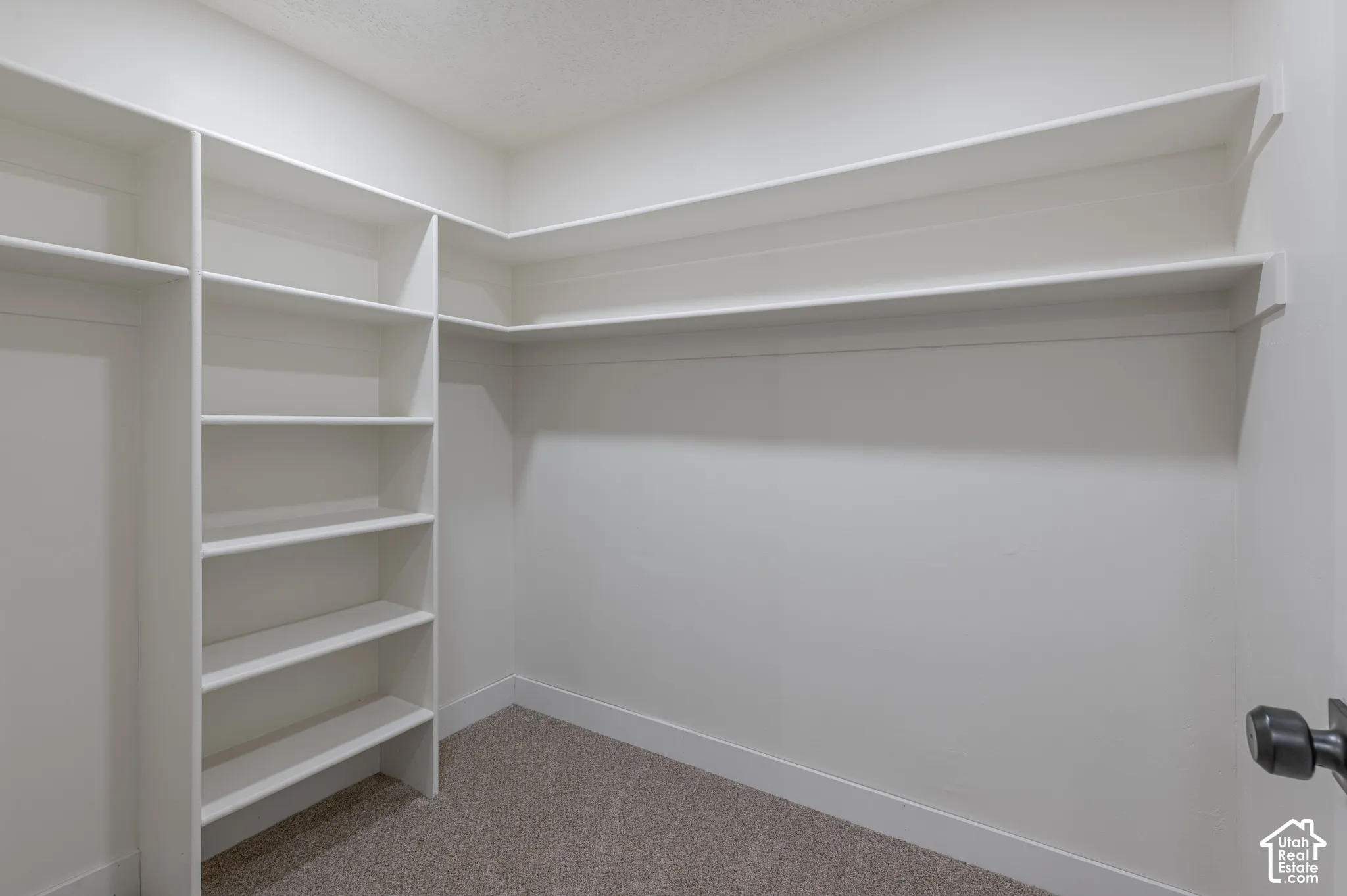 Built-in white shelving system featuring floor-to-ceiling vertical partitions and extended horizontal storage ledges, finished with wall-to-wall carpeting