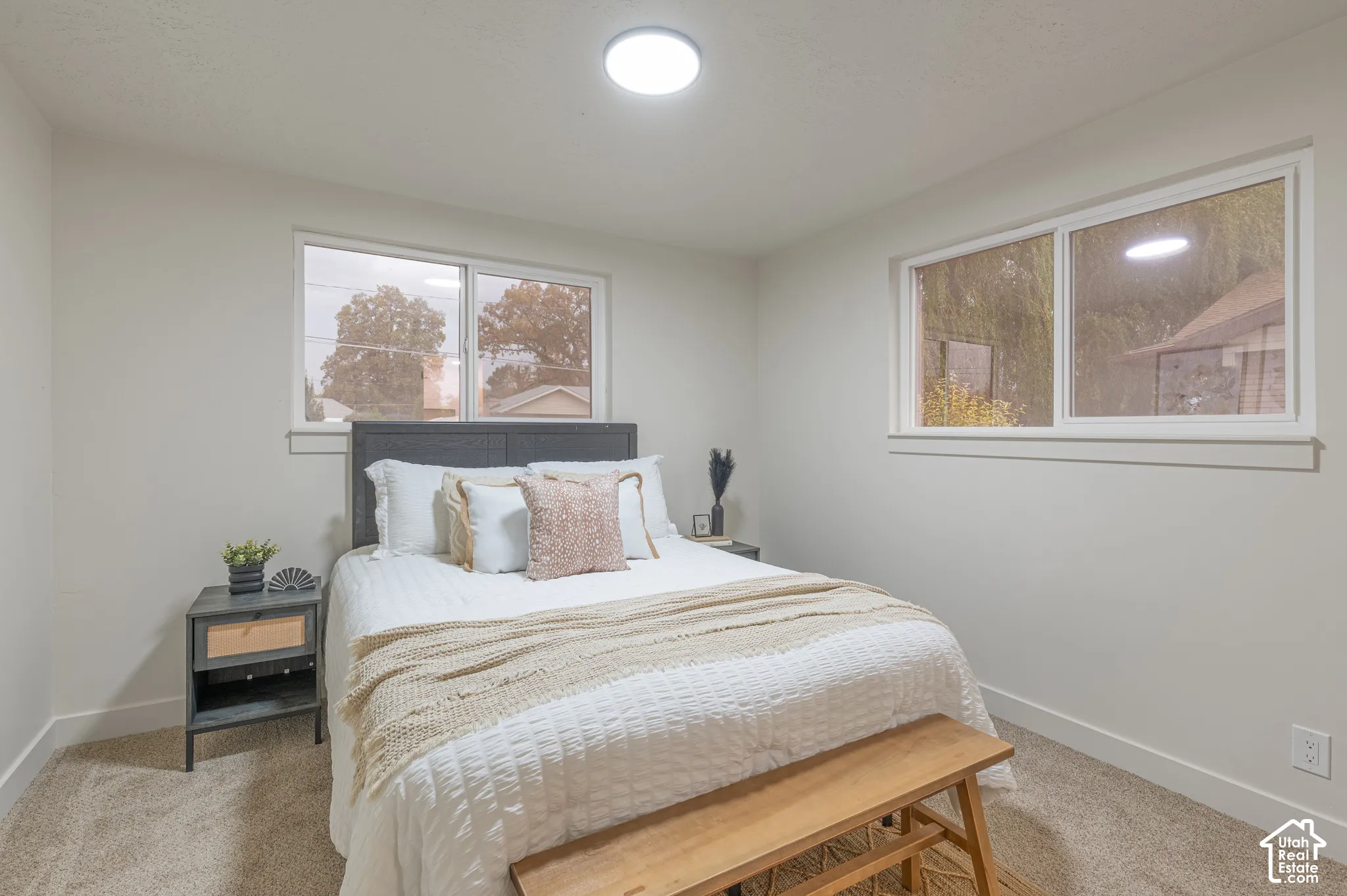 Neutral-toned interior space featuring textured wall-to-wall carpeting, two sliding-sash windows, and a flush-mount ceiling light fixture