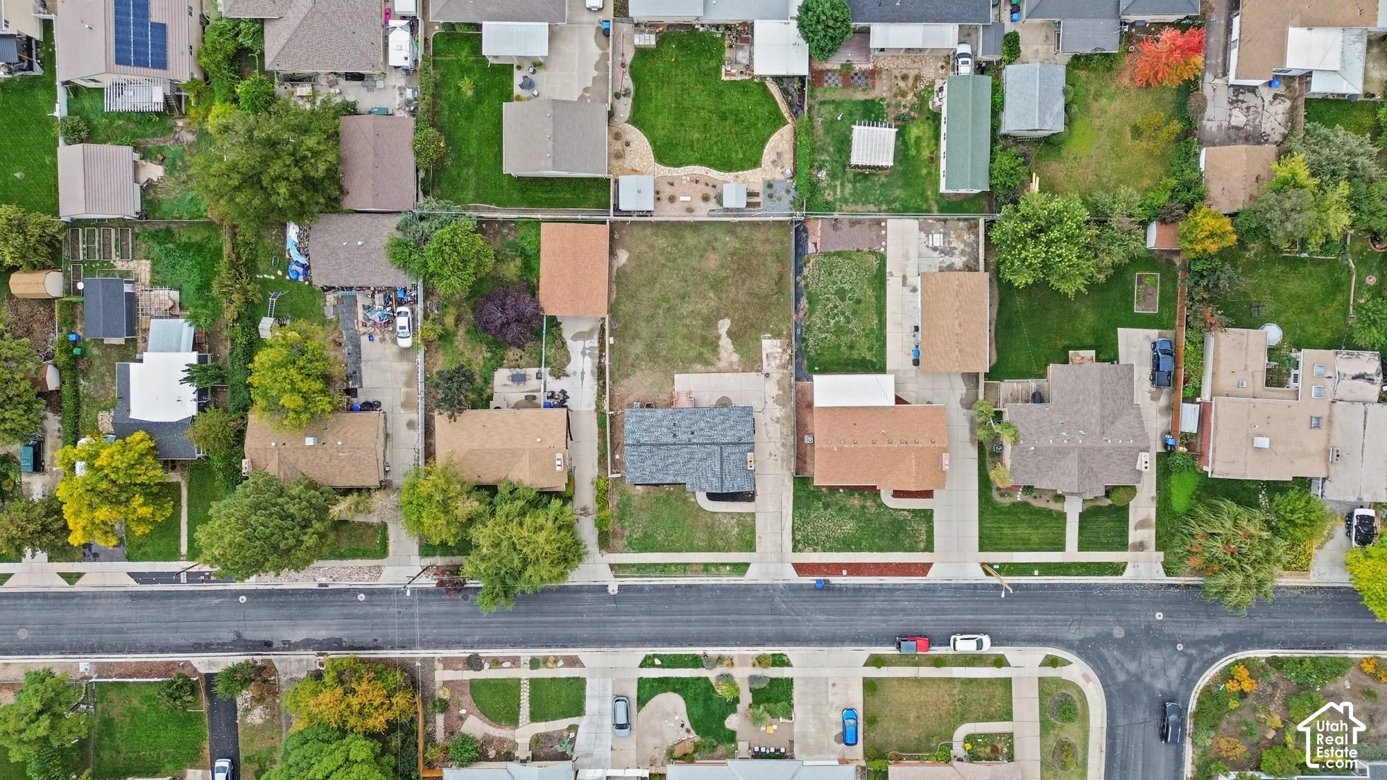 Aerial perspective of a rectangular residential lot featuring a paved driveway, established lawn space, and a mature tree canopy