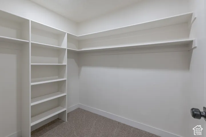 Built-in white shelving system featuring floor-to-ceiling vertical partitions and extended horizontal storage ledges, finished with wall-to-wall carpeting