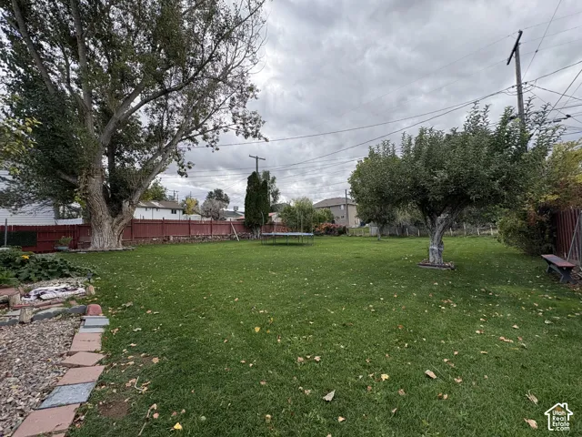 Expansive backyard featuring a manicured lawn, perimeter fencing, and mature trees