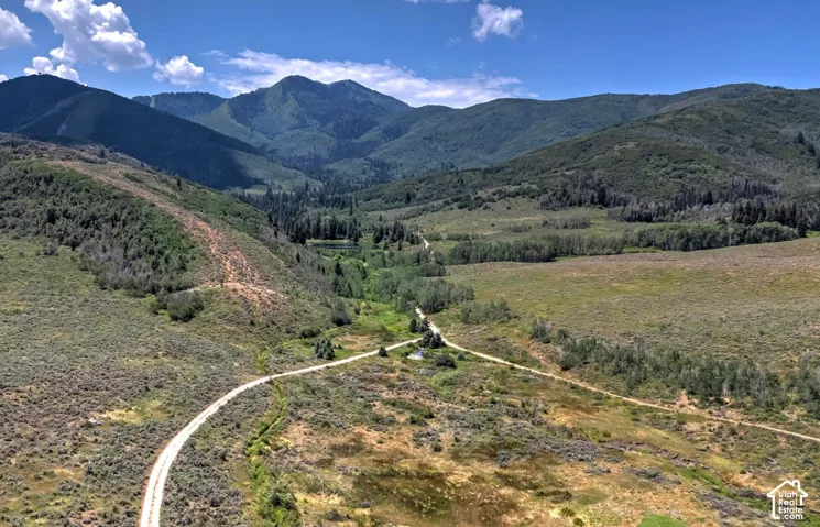 Expansive acreage featuring mountainous terrain, mature woodland, natural vegetation, and unpaved access paths