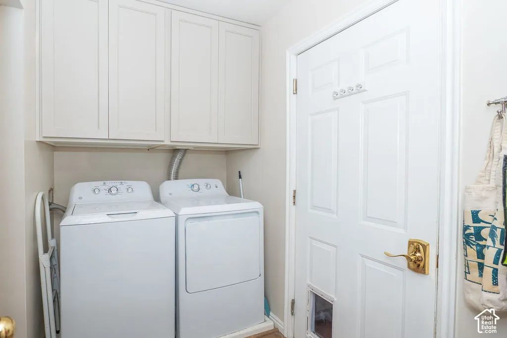 Utility area featuring matte-finish overhead cabinetry, a six-panel door with brass hardware, and a built-in pet door