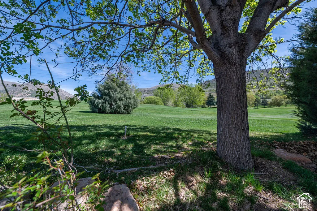 Expansive grass lawn featuring mature trees and a mountain backdrop