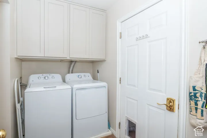 Utility area featuring matte-finish overhead cabinetry, a six-panel door with brass hardware, and a built-in pet door