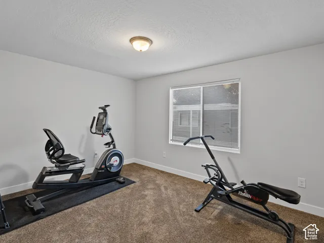 Room featuring neutral wall tones, plush carpeting, a dual-pane sliding window with horizontal blinds, and a centered flush-mount light fixture