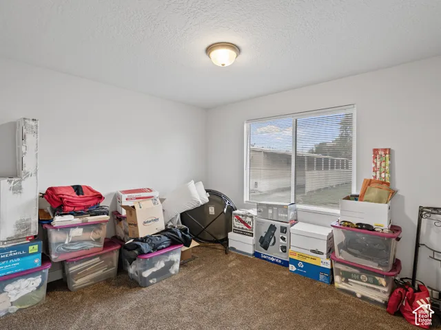 Room interior featuring neutral wall paint, carpeted flooring, a ceiling-mounted light fixture, and a sliding window