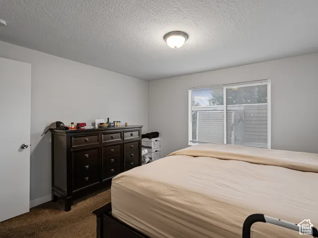Neutral-toned interior space featuring wall-to-wall carpeting, a flush-mount ceiling light fixture, and a sliding window with horizontal blinds