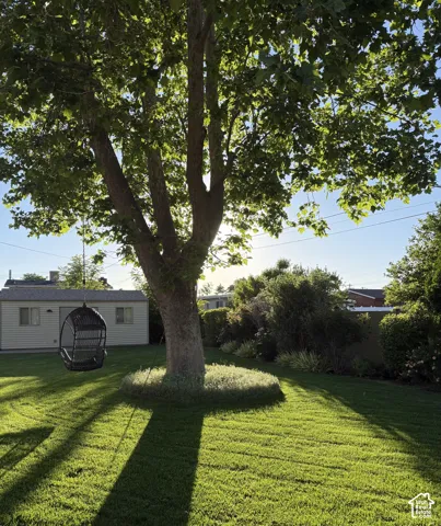 Studio in afternoon light-Backyard featuring a manicured lawn, mature tree with a circular garden bed, and a detached storage structure