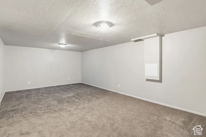 Neutral-toned interior space featuring wall-to-wall carpeting, flush-mount ceiling lighting, and a textured ceiling finish
