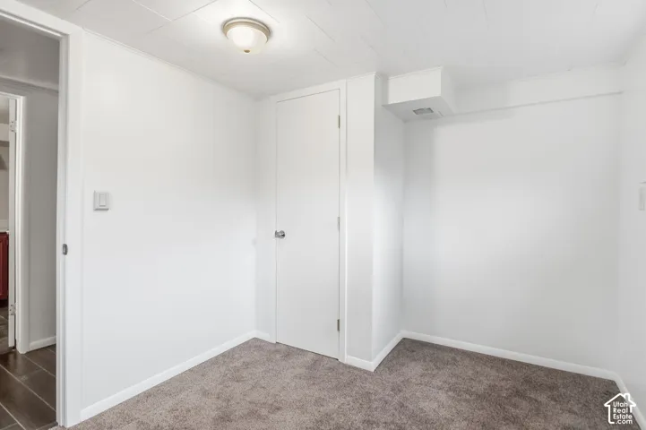 Neutral-toned carpeting, white walls, flush-mount dome lighting, and a single interior door