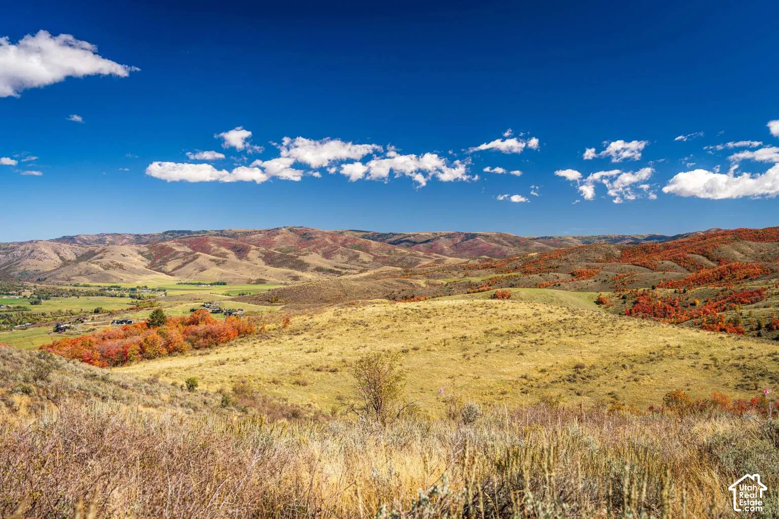 Expansive acreage featuring rolling hills, mature trees, and prominent mountain backdrops