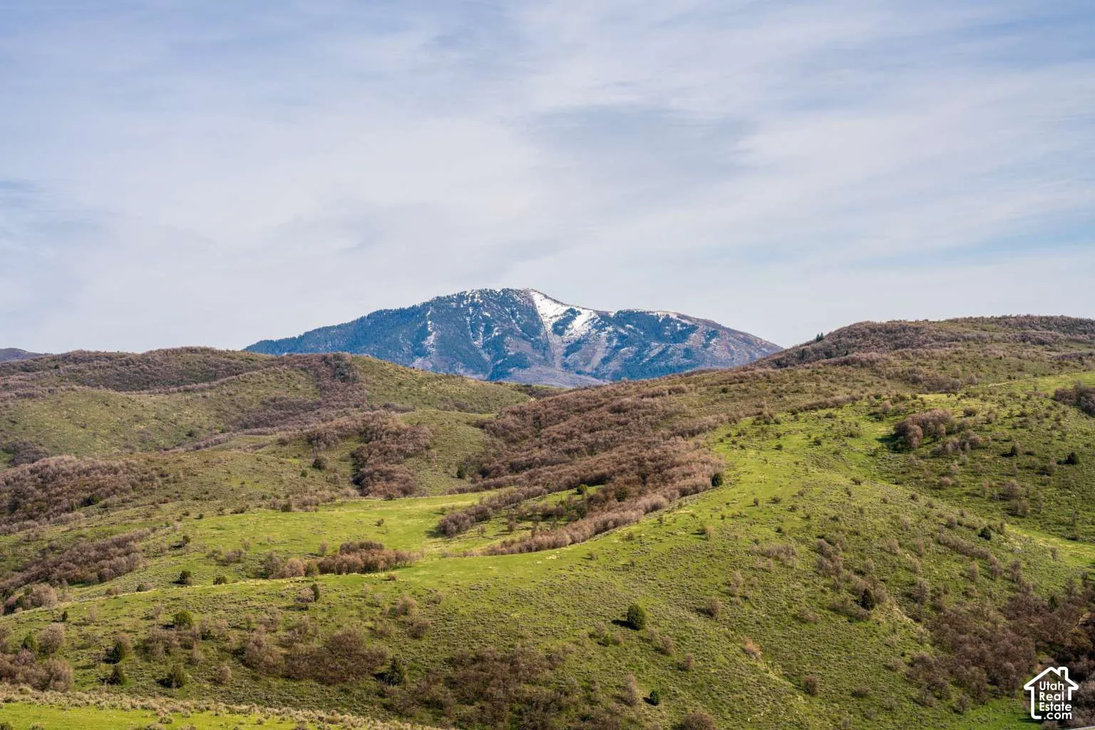 Expansive natural landscape featuring rolling hills, diverse native vegetation, and a prominent mountain backdrop