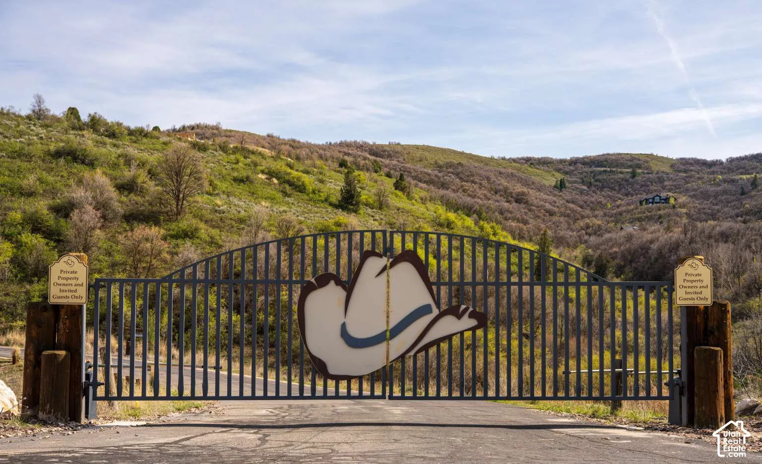 Custom metal security gate featuring an arched design, mounted on heavy-duty timber posts and set against a backdrop of rolling, vegetation-covered hills