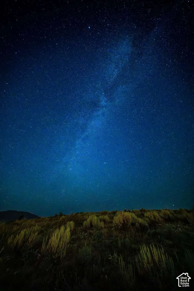 Expansive terrain featuring native shrubbery and a mountainous horizon under a clear night sky