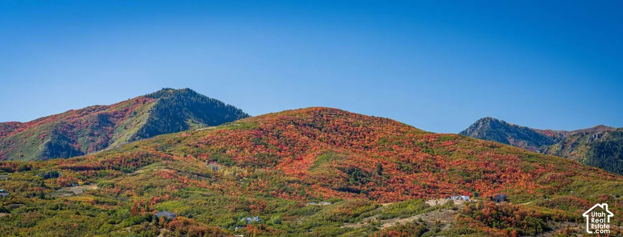 Mountain landscape featuring seasonal foliage and prominent peaks