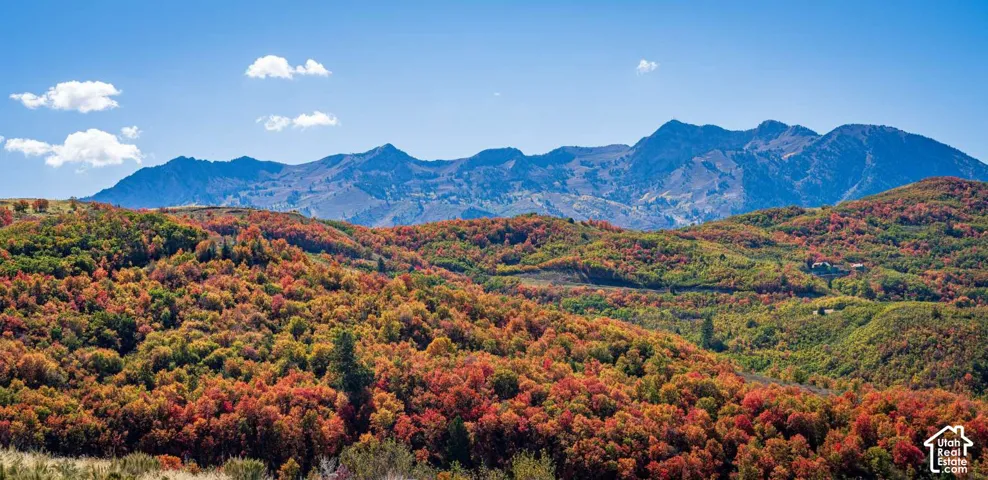 Panoramic mountain backdrop featuring vast hillsides of dense, multi-colored autumn foliage