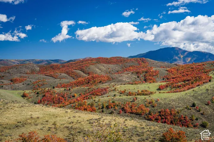 Expansive terrain featuring rolling hills, diverse deciduous foliage, and a prominent mountain range backdrop
